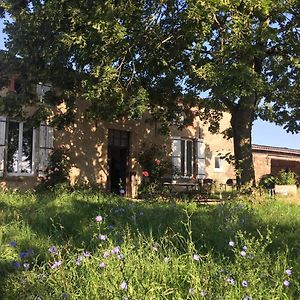 Chambres D'Hotes Les Pieds Dans L'Herbe Saint-Julien-Gaulene Exterior photo