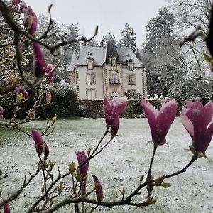 Chateau Maleplane Bed & Breakfast Saint-Léonard-de-Noblat Exterior photo