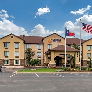 Comfort Inn & Suites Mansfield Exterior photo