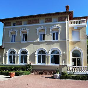 Château Blanchard Hotel Chazelles-sur-Lyon Exterior photo