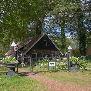 Erve Nijkamp Villa Tubbergen Exterior photo