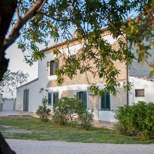 Masseria Piana Cimino Bed & Breakfast Pietra Montecorvino Exterior photo