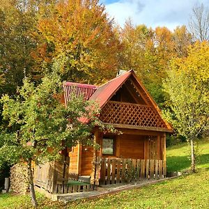 Трембіта Rahău Exterior photo