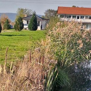 La Izvoare Pensiune-Păstrăvărie Hotel Sîmbăta de Sus Room photo