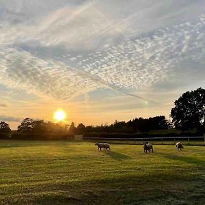 Sunset View a quiet&romantic rural retreat for 2 adults Apartment Ingleton  Exterior photo