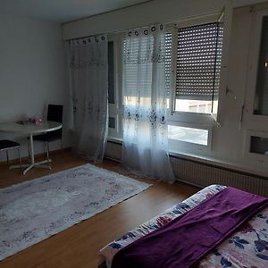 Kleine Apartment Im Zentrum Berna Exterior photo