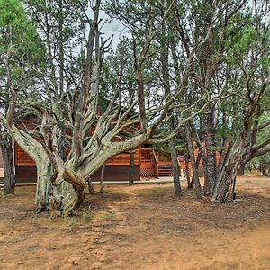 Overgaard Cabin Near Mogollon Rim And Hiking Villa Exterior photo