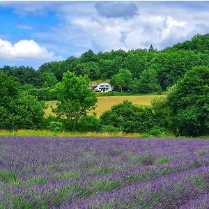 Bounetis Bas Chambre D'Hotes Bed & Breakfast Lauzerte Exterior photo