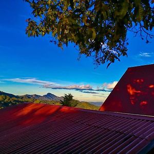 Cabana Monarca - The Best View In The Area! Apartment Jardín Exterior photo