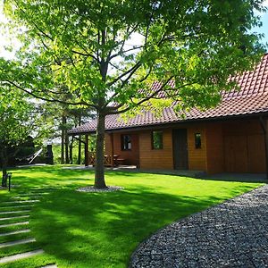 Bajkowy Domek Nad Samym Jeziorem Villa Narty Exterior photo