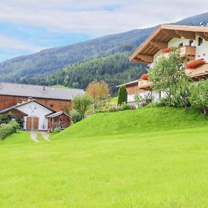 Klausenstein Gutshof Hollersbach Apartment Hollersbach im Pinzgau Exterior photo