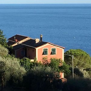 Seaside Villa Between Portofino And Cinque Terre Zoagli Exterior photo