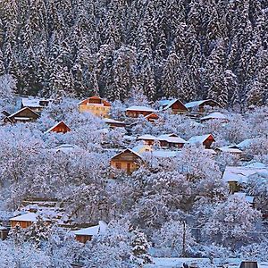 Friendly House Hotel Borjomi Exterior photo