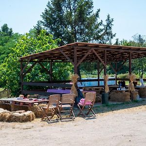 Agriturismo Why Farm Villa Marano Ticino Exterior photo