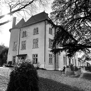 Bed&Breakfast Le Château de Morey Bed & Breakfast Belleau Exterior photo