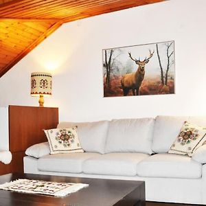 Cozy Loft With Fireplace & View Mețovo Exterior photo