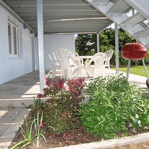 Haus Biengarten Apartment Neustadt an der Weinstraße Exterior photo