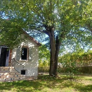 Villa Garona Avec Billard Proche Pyrenees Cazeres Exterior photo