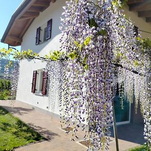 Agritur Lavanda Villa Nave San Rocco Exterior photo