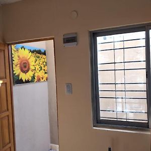 Los Girasoles Del Sur Apartment Wilde Exterior photo