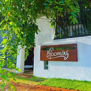 Blooming Holiday Resort Holambra Exterior photo