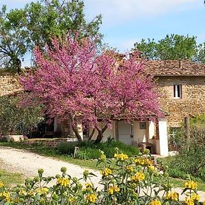 Agriturismo Timignano Apartment Monteguidi Exterior photo