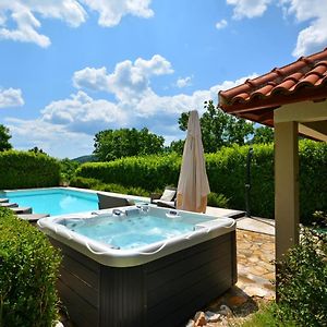 Villa Bisko With Heated Pool & Jacuzzi Trilj Exterior photo