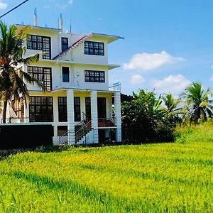 Freedom Of Green Rice View Hotel Holambra Exterior photo