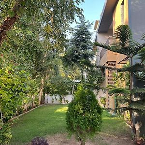 Asma Villa Ahmedabad Exterior photo