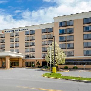 Comfort Inn & Suites Watertown - 1000 Islands Exterior photo