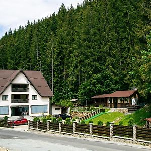 Perla Padurii Hotel Valea Mare  Exterior photo