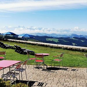 Baernsicht Panorama Hotel Wasen Exterior photo