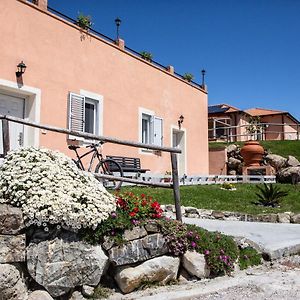 L'Aurora Bed & Breakfast Ceraso Exterior photo