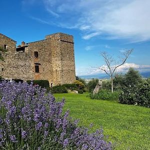 Medieval Tower In Umbria With Swimming Pool Montelagello Exterior photo
