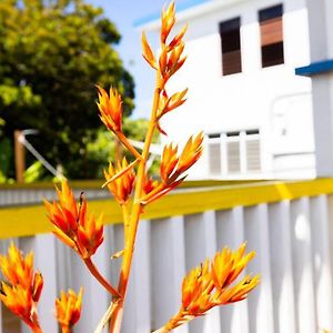 Jobos Beach Apt #1 Near Food Truck And Beach . Apartment Isabela Exterior photo