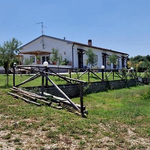 Casale Bianco Al Casello Dell' Autostrada Guidonia Exterior photo