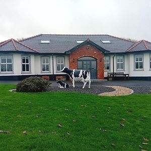 Creeghduff Lodge Downpatrick Exterior photo