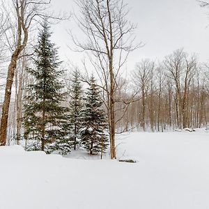 Jay Peak Village Home 367B Exterior photo