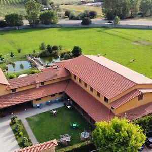 Los Reales Hotel Carrizo de la Ribera Exterior photo