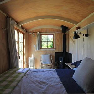 The Bird Hide - Rustic Luxury By The Water Hotel Dunedin Exterior photo