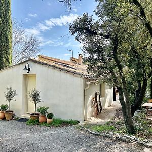 Joli Studio Les Hibiscus Du Pic Saint Loup Apartment Exterior photo