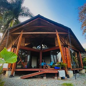 Boohouse - A Wild Cabin In Colombia Villa Caicedonia Exterior photo