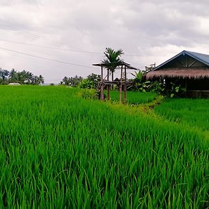 Bayan Exotic Homestay Senaru Exterior photo