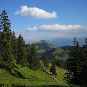 Rigiana Auf Der Koenigin Der Berge Apartment Rigi Kaltbad Exterior photo