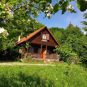 Cabana Lacrimioara Villa Sîmbăta de Sus Exterior photo