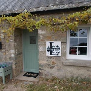 La Petite Maison, Ideal Pour Velo,Pied,Peche,Relax Villa Mur-de-Bretagne Exterior photo