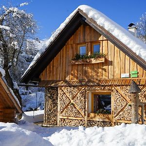 Hike & Bike Chalet Villa Bohinj Exterior photo