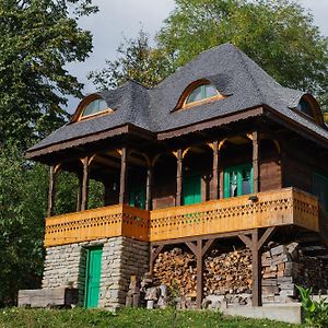 La sat - Mândră Ioană Villa Bertea Exterior photo