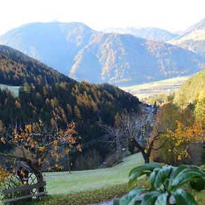 Martlerhof Urlaub Auf Dem Bauernhof Apartment Campo di Trens Exterior photo