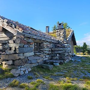 Hytte I Hallingdal/Fla Villa Exterior photo